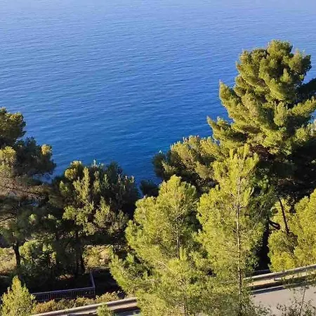 Con Vista Panoramica Sul Mare A Mortola Mortola Superiore